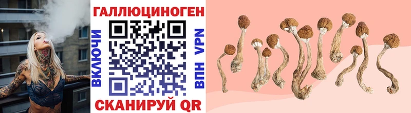 Галлюциногенные грибы Magic Shrooms  Валдай 